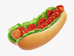 Hot dog with ketchup salad tomato v2 3D Model