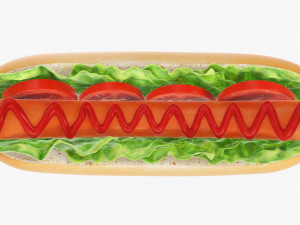 Hot dog with ketchup salad tomato v2 Modelo 3D