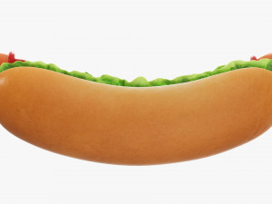 Hot dog with ketchup salad tomato v2 Modelo 3D