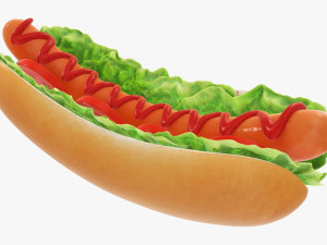 Hot dog with ketchup salad tomato v2 Modelo 3D