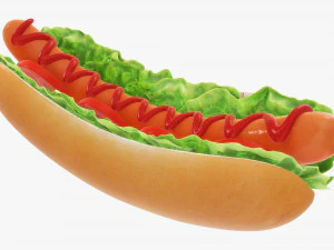 Hot dog with ketchup salad tomato v2 3D Model