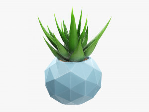 Succulent in planter pot plant 01 Modelo 3D