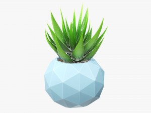 Succulent in planter pot plant 01 3D Модель