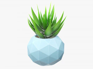 Succulent in planter pot plant 01 3D Model