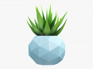 Succulent in planter pot plant 01 3D Model