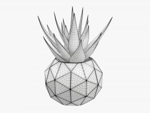 Succulent in planter pot plant 01 3D Model