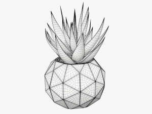 Succulent in planter pot plant 01 3D Модель