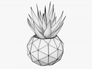 Succulent in planter pot plant 01 3D Model