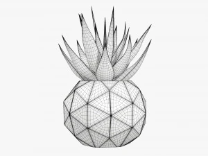 Succulent in planter pot plant 01 3D Model