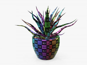 Succulent in planter pot plant 02 3Dモデル