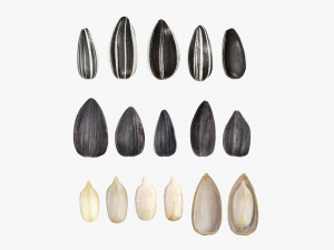 Sunflower seeds 01 Modelo 3D