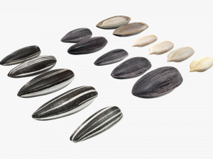 Sunflower seeds 01 3D 模型