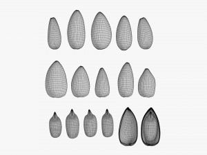 Sunflower seeds 01 3D 模型