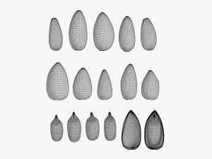 Sunflower seeds 01 3D Model