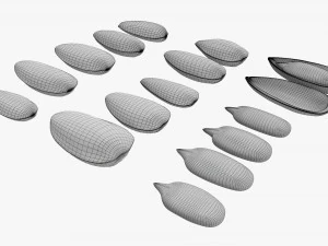 Sunflower seeds 01 3D Model