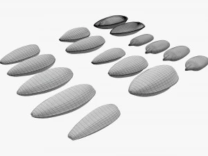 Sunflower seeds 01 3D Model