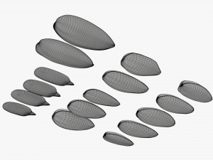 Sunflower seeds 01 3D 模型