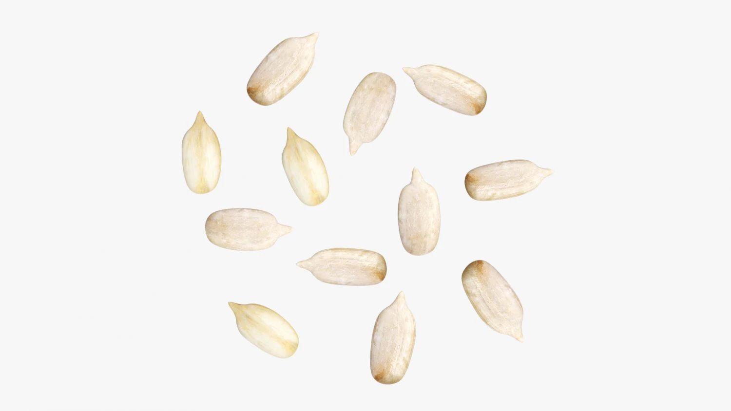 Semillas de girasol 02 Modelo 3D .c4d .max .obj .3ds .fbx .stl .blend 