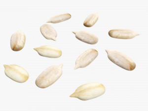 Sunflower seeds 02 Modelo 3D