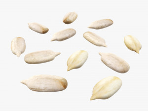 Sunflower seeds 02 Modelo 3D