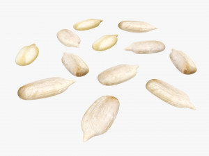 Sunflower seeds 02 Modelo 3D