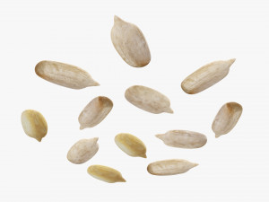 Sunflower seeds 02 Modelo 3D