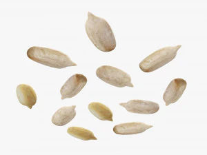 Semillas de girasol 02 Modelo 3D