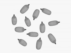 Semillas de girasol 02 Modelo 3D