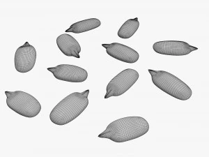 Semillas de girasol 02 Modelo 3D