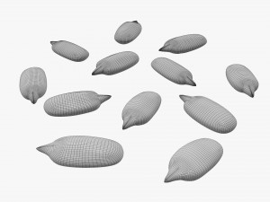 Sunflower seeds 02 Modelo 3D