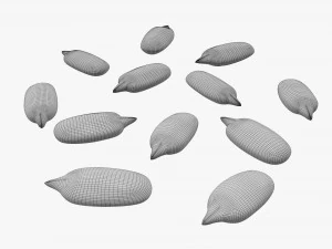 Semillas de girasol 02 Modelo 3D