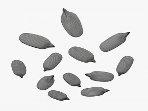Sunflower seeds 02 Modelo 3D