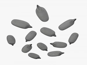 Semillas de girasol 02 Modelo 3D