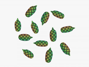 Sunflower seeds 02 Modelo 3D
