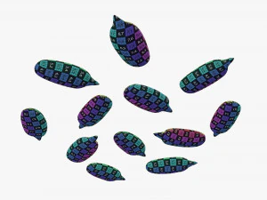 Semillas de girasol 02 Modelo 3D