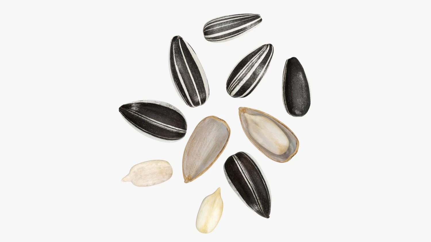 Semillas de girasol 03 Modelo 3D .c4d .max .obj .3ds .fbx .stl .blend