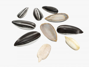 Sunflower seeds 03 Modelo 3D