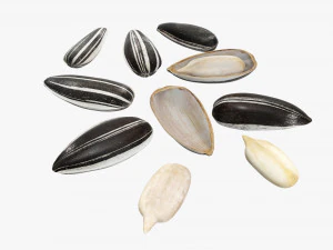 Semillas de girasol 03 Modelo 3D