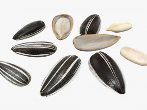Sunflower seeds 03 Modelo 3D