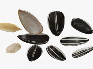 Sunflower seeds 03 Modelo 3D