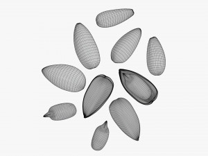 Sunflower seeds 03 Modelo 3D