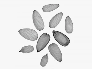 Semillas de girasol 03 Modelo 3D