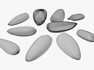 Sunflower seeds 03 Modelo 3D