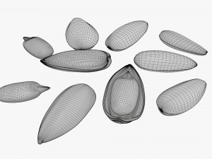Sunflower seeds 03 Modelo 3D