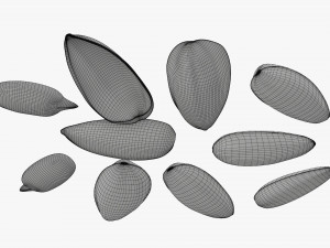 Sunflower seeds 03 Modelo 3D