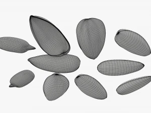Semillas de girasol 03 Modelo 3D