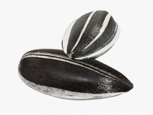 Sunflower seeds 04 Modelo 3D