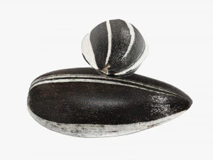 Sunflower seeds 04 3D Model