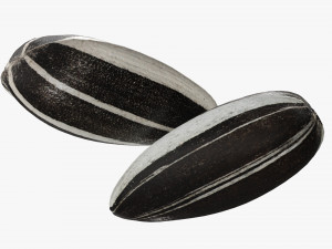Sunflower seeds 04 3Dモデル