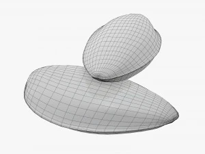Sunflower seeds 04 3D Model